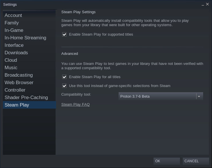 Steam Beta Settings