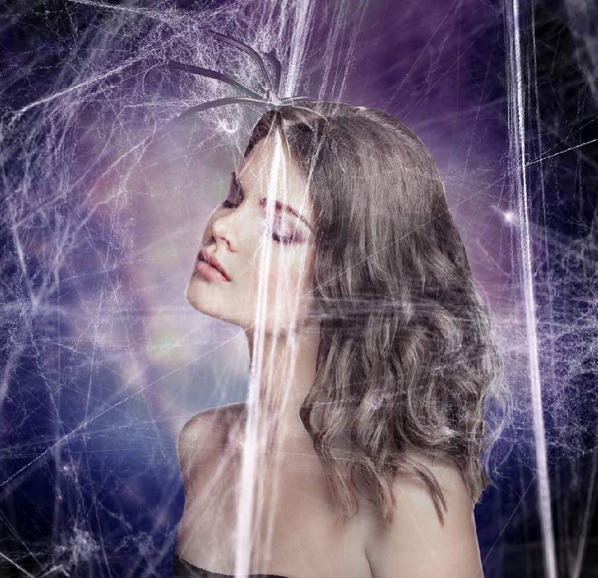 add cobweb 1