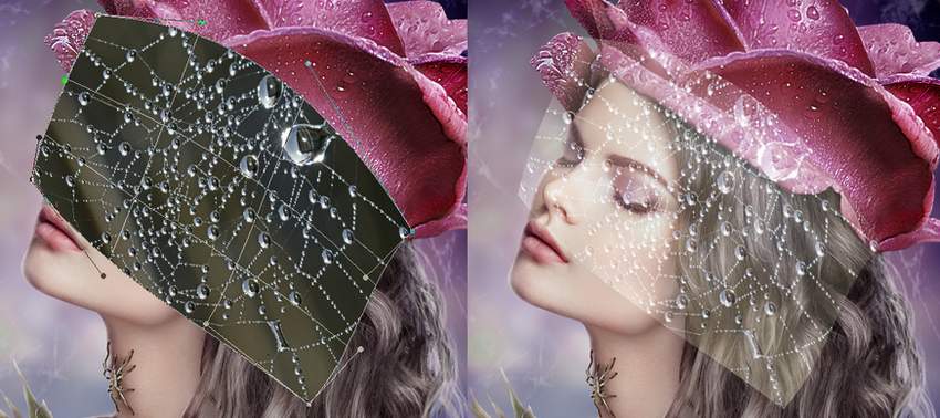 add cobweb 3 to head
