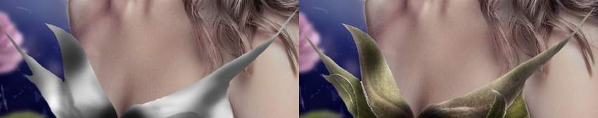 sepals DB